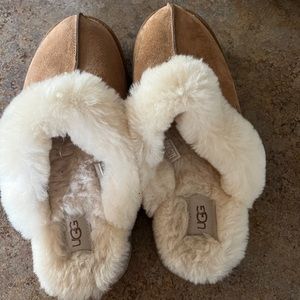 Womens Disquette ugg slippers in color chestnut